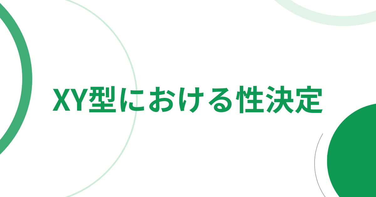 XY型における性決定