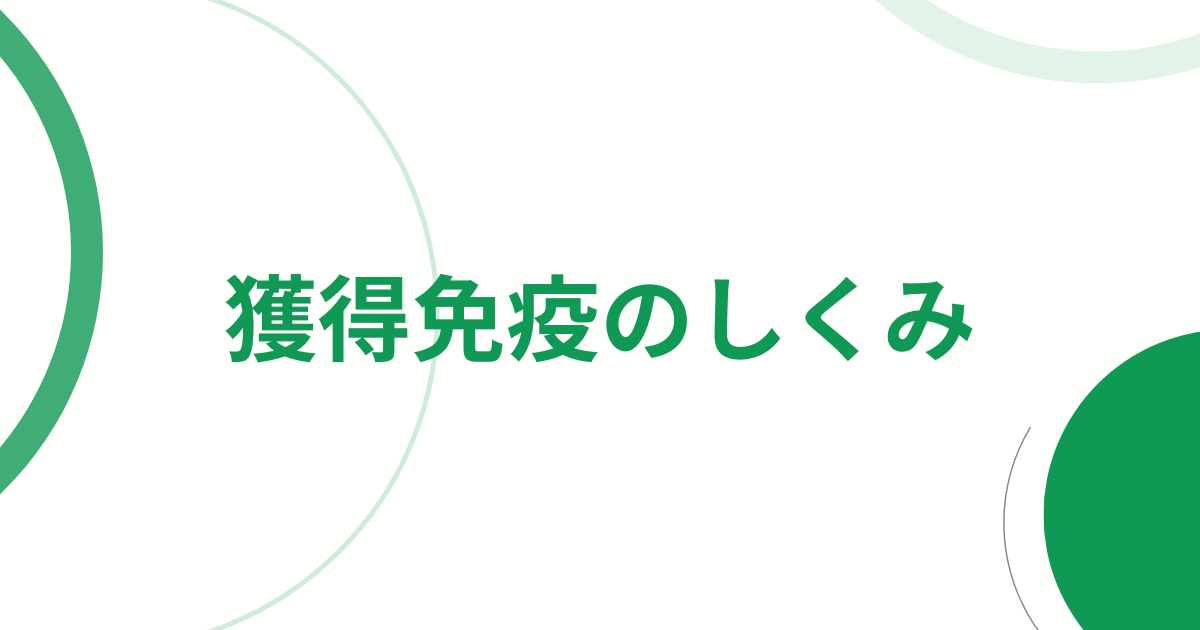 獲得免疫のしくみ