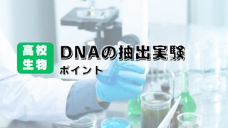 DNA抽出アイキャッチ画像