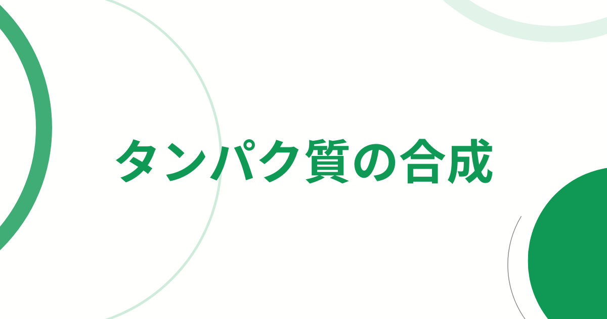 タンパク質の合成