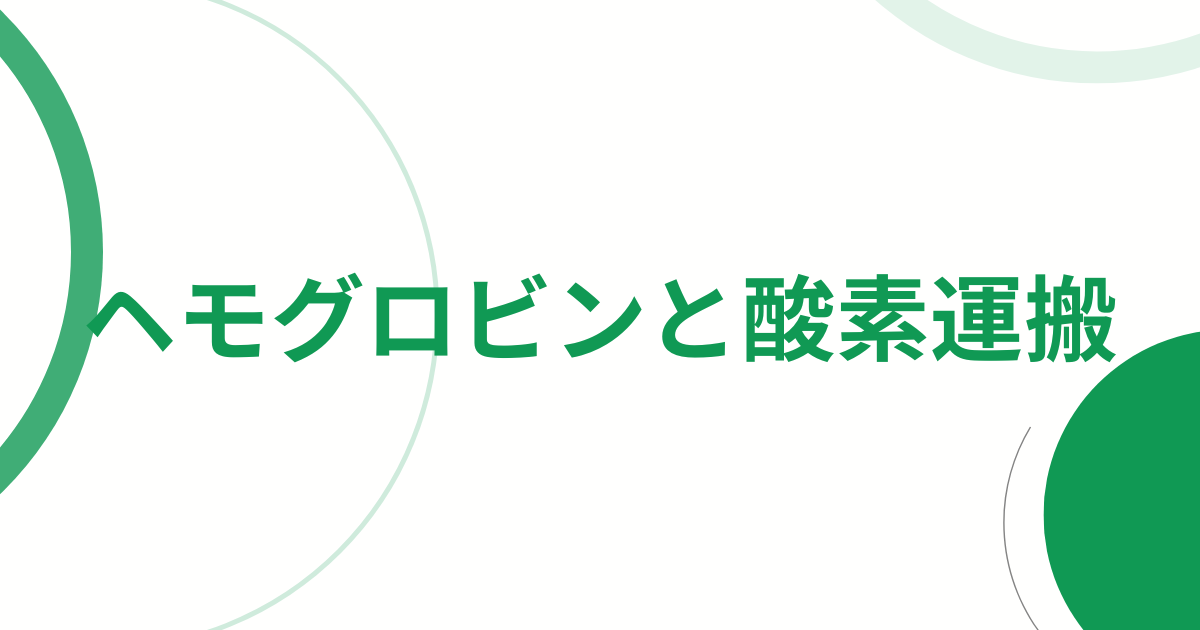 ヘモグロビンと酸素運搬