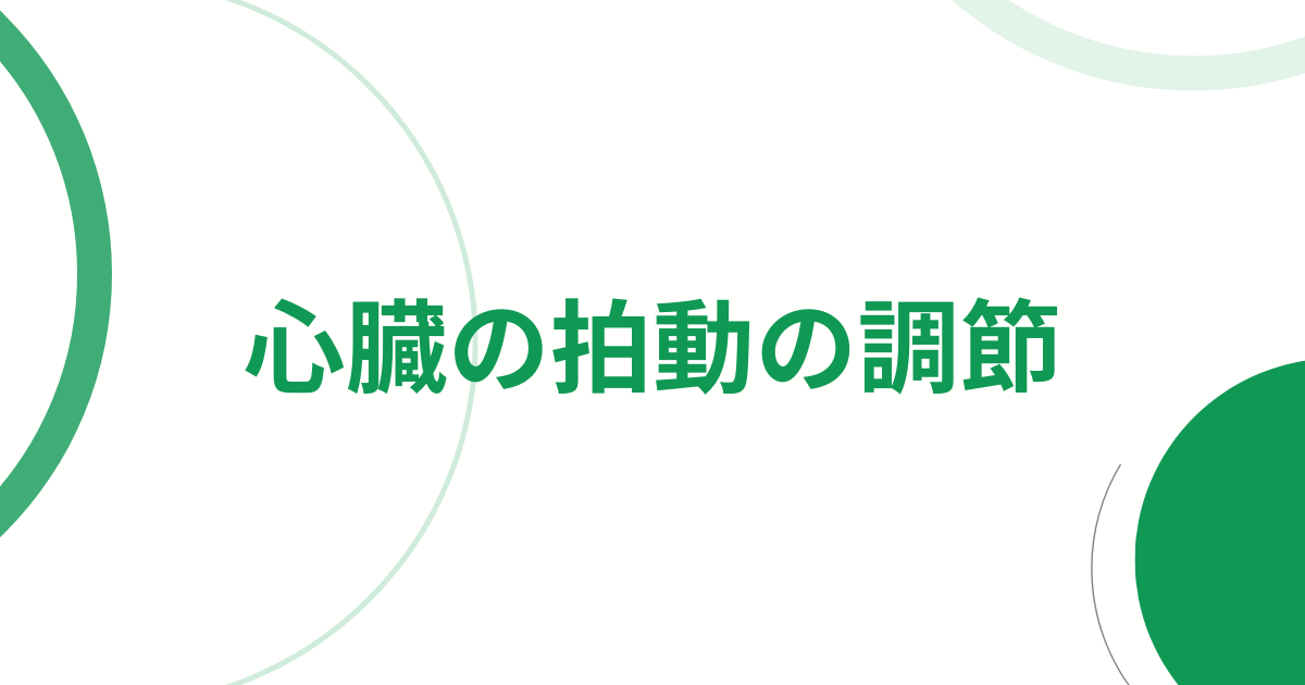 心臓の拍動の調節