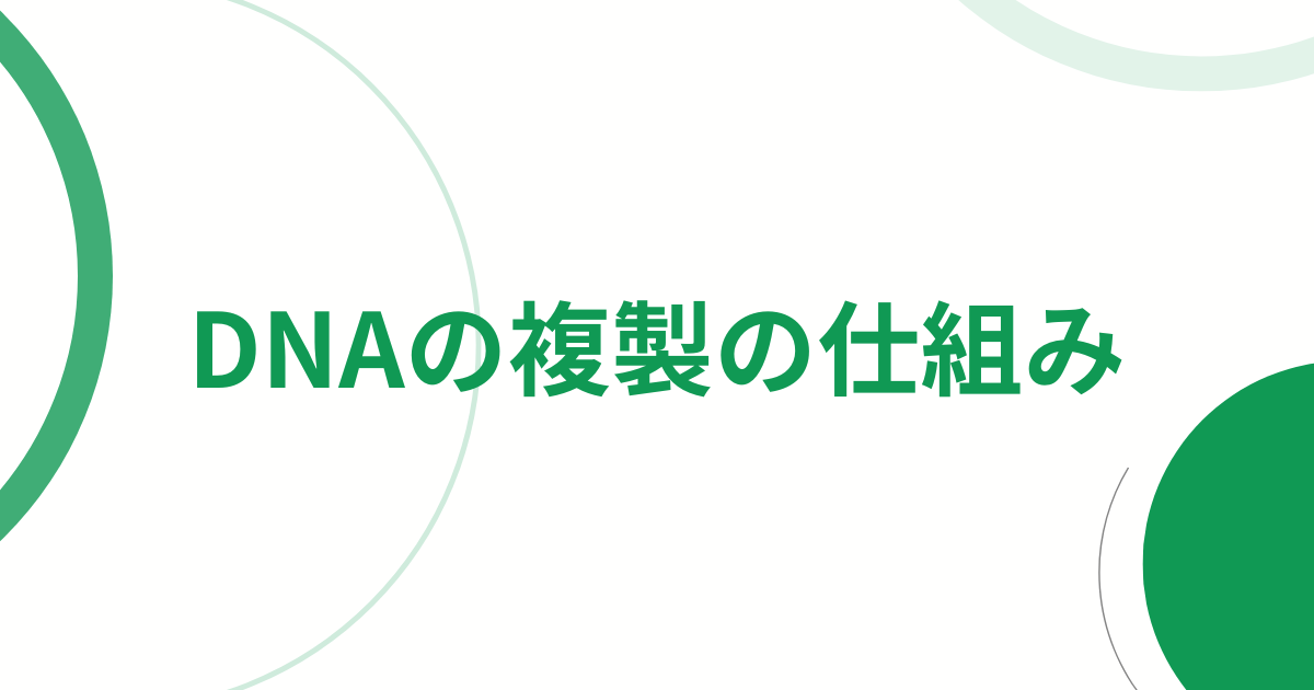 DNAの複製の仕組み