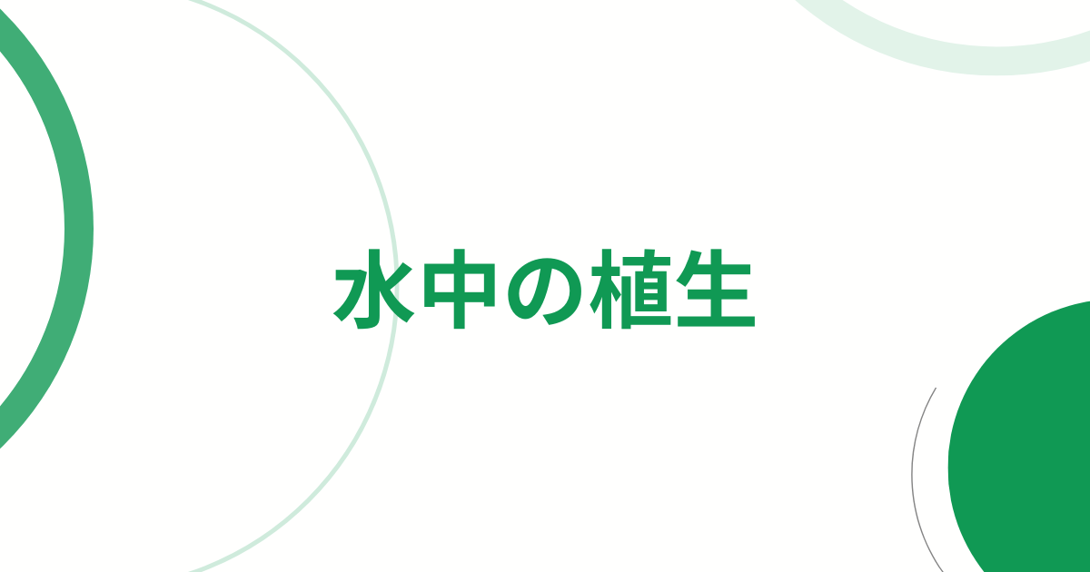 水中の植生アイキャッチ画像
