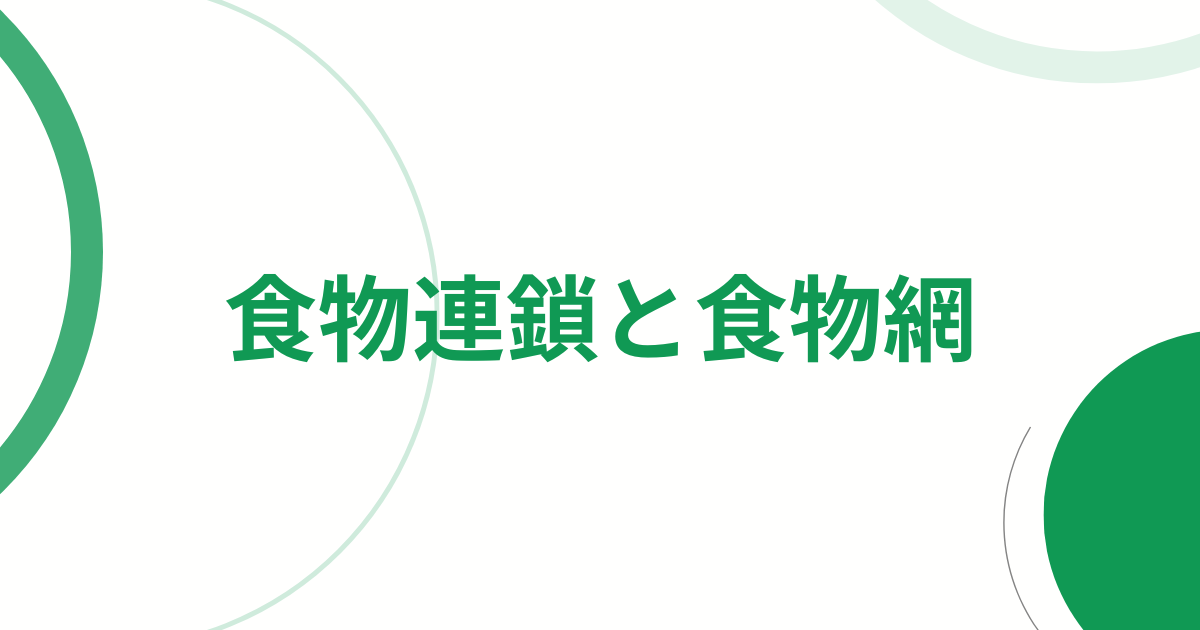 食物連鎖と食物網