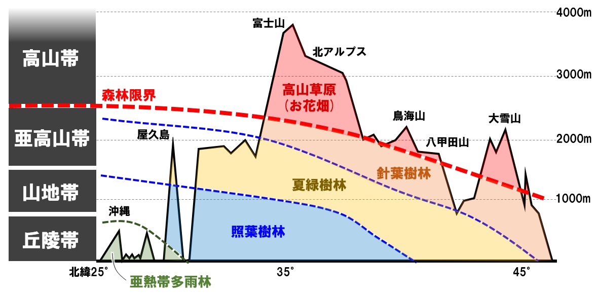 日本のバイオームの垂直分布