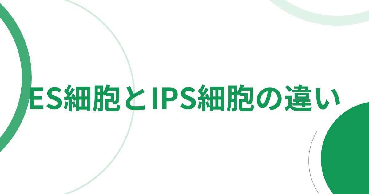 ES細胞とiPS細胞の違い