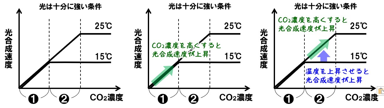 限定要因のグラフ CO2濃度