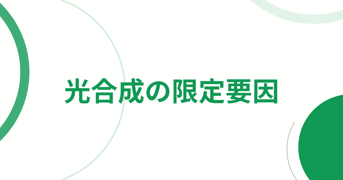 光合成の限定要因