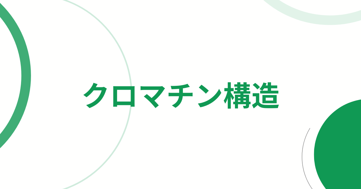 クロマチン構造と転写調節のしくみ